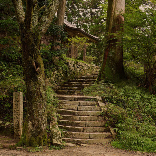 wanderthewood:  Steps lead up to the wooded Sanno-in sub-temple in the Enyryaku-ji temple complex - Mount Hiei, Kyoto, Japan by Tim Ravenscroft