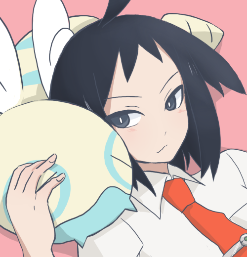 shinuverna:  ノコッチまくら