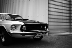 Muscle Car Instant