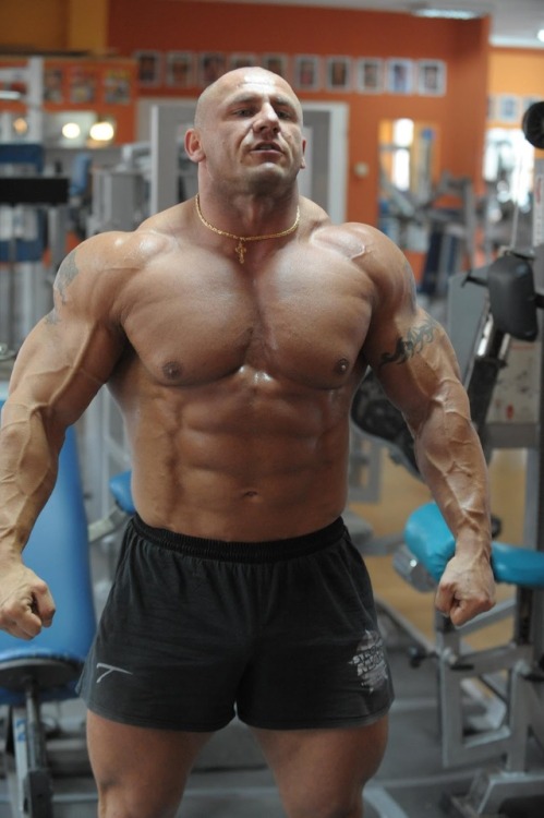 massivemusclestuds:Andrzej Zieleniecki1.85m 130kg  /  6'1&quot; 290lbs