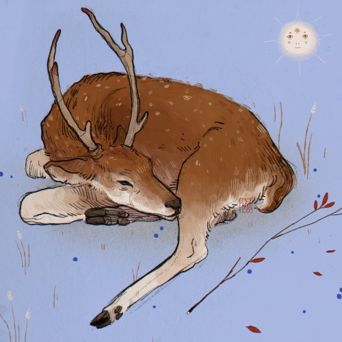 coniferouskiddo:deer study that got coloured ✨(plus a little sun, who’s been named Fred by my sister