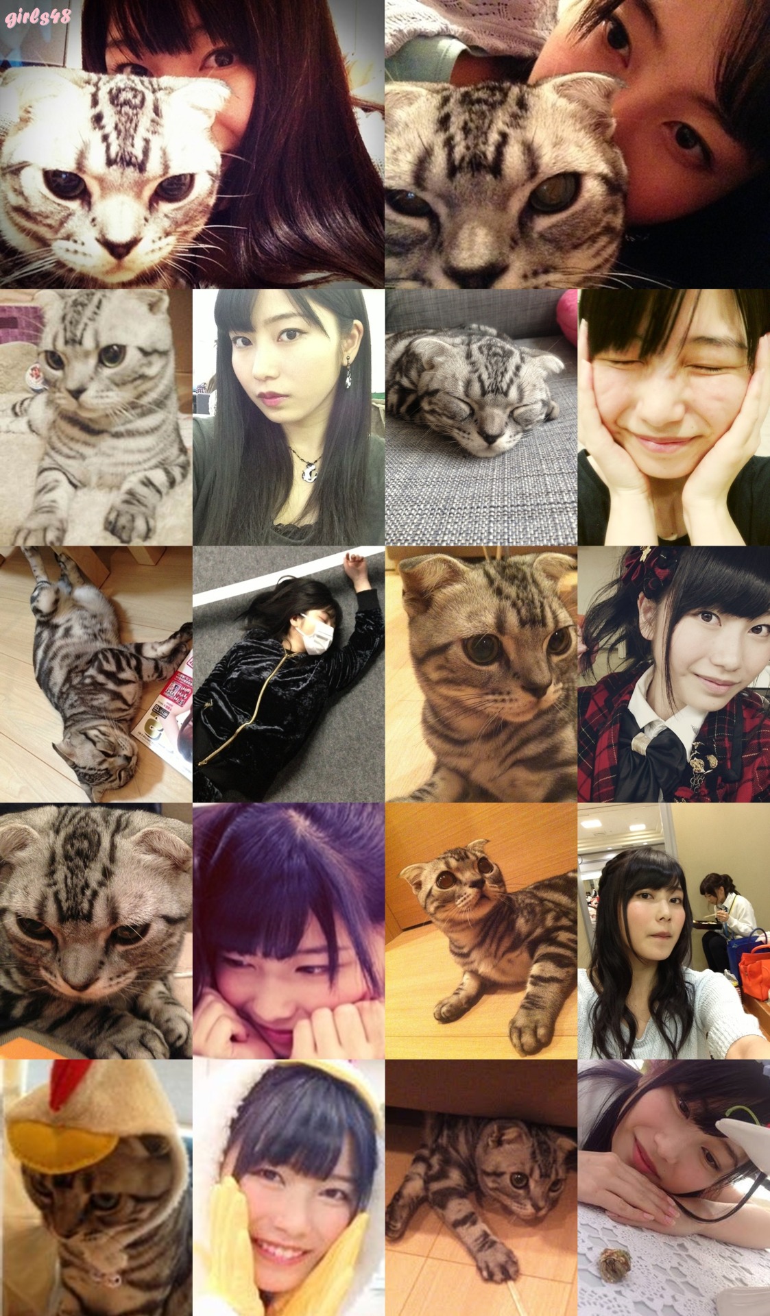 all-the-lilies:  Yuihan &amp; Bis  I see no difference 