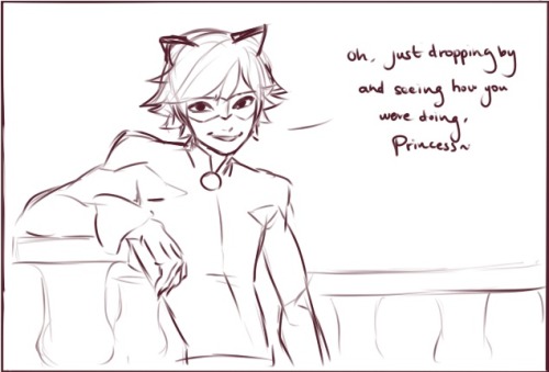 sorarts:   Request: MariChat / Chatnette ( @inspiringnfamous, @alyseb630, and anons) this wasn’t a lot of romance as it was fluff but i hope this is ok! Adrien is feeling down and finds himself outside Marinette’s. 