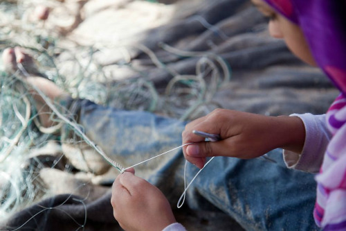 Pauline Beugnies: Fishing in GazaMadeline would rather go to school, but for two years she has been 