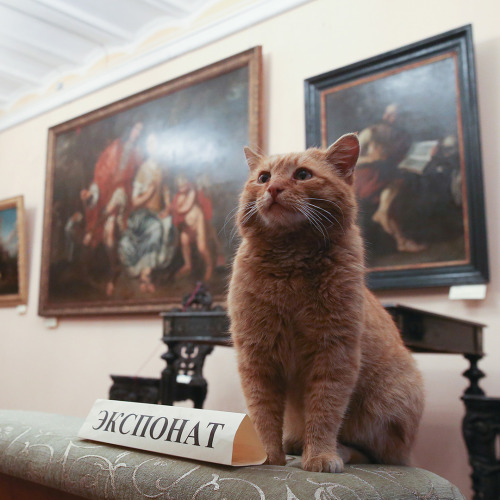 theeconomist:Marai the cat is now a member of staff at the Serpukhov Museum of History and Art, Mosc