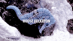  MY FAVOURITE ASOIAF HOUSES → [9/10] » House Velaryon of Driftmark ↳ House