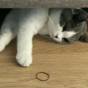 actionkitty:  ellie miller shouting @ alec hardy for 10 minutes [ASMR]