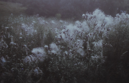 definitelydope:Last night on our hill. With you. (by laura makabresku)