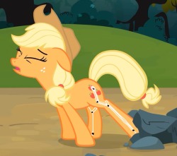 autumnbramble: autumnbramble:  A lot of people watching the show misunderstand the simplifications the animators do to pony bones. Despite its simplifications, the horses use real life equine anatomy, and it’s really obvious when they’re doing things.