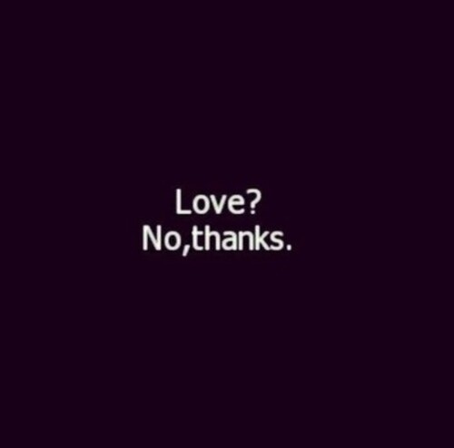 silly-luv:  ♡ find your best posts on my blog ♡