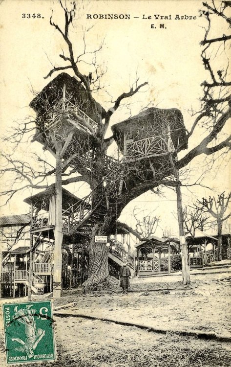 itscolossal: In 1848 A French Commune Built an Interconnected Treehouse Cabaret Based on Swiss Famil