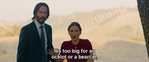Destination Wedding (2018)
