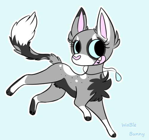 wable-bunny