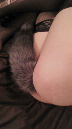 mulatto-bitch:  This tail makes my ass look lovely. I just need a collar, ears, and an owner. <3