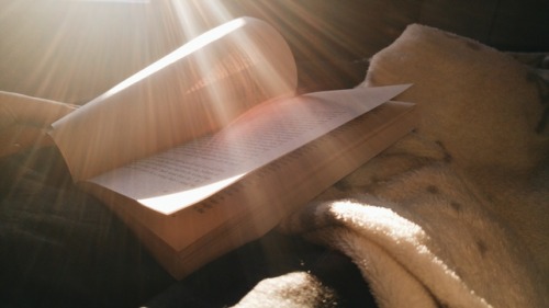 a morning in bed.