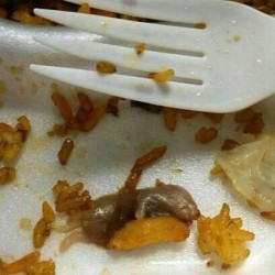 fukkkres:  niggaimdeadass:  my friend found this in his chinese food  is dat ratatouille