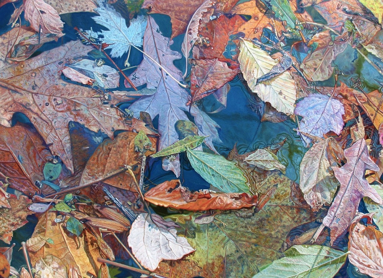 doomhope:
“urgetocreate:
“Fred Danziger, French Creek Drift, 2010, Oil on canvas
”
[ID: Hyperrealistic painting of many fallen leaves floating in water. End ID]
”