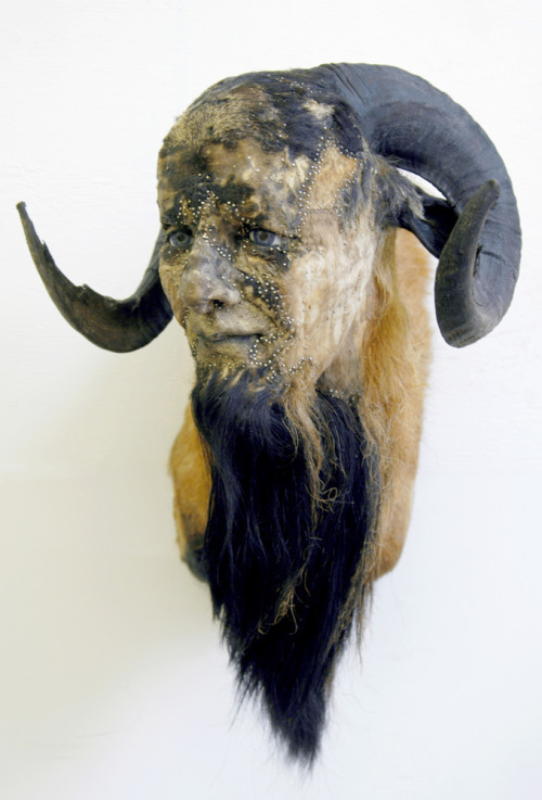 dramaticbackstory: sixpenceee: Artist Kate Clark uses clay to sculpt human faces onto taxidermed ani