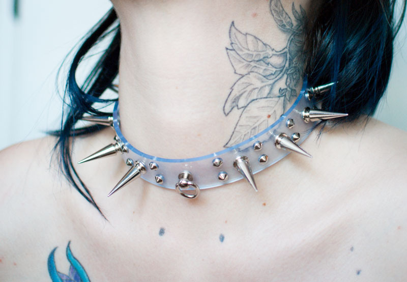 z2z2z:  i got a new collar today and it sure is pretty