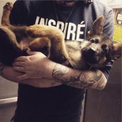 awwww-cute:  my little baby german shepherd,