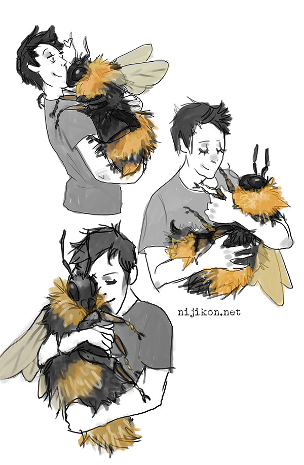 hyperconformist:  hyperconformist:  All I want is a bumble bee big enough to hug.Is