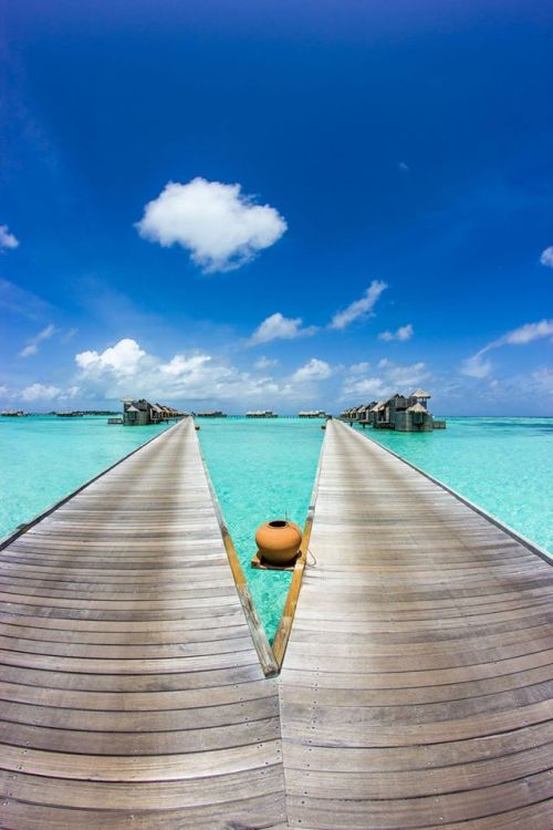 Beach Views