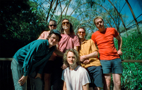 flightlessrecordz: King Gizzard and the Lizard Wizard on the return of live music: “I cried wa