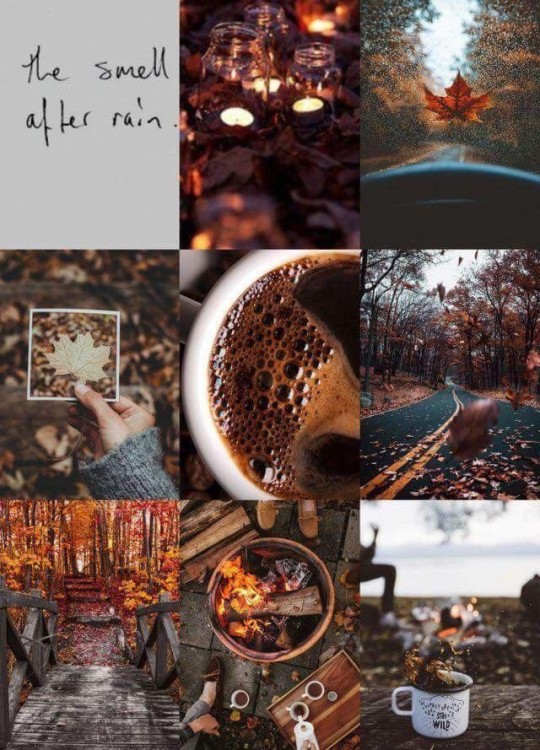 hello october on Tumblr