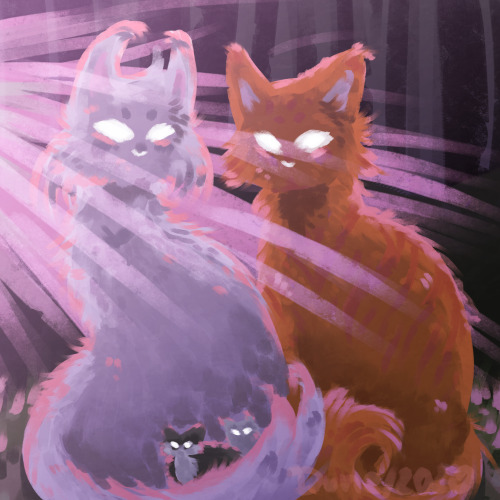 dunewindcat