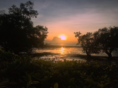 #sunrise #beachsunrise #lowtide #railaybeach www.instagram.com/p/BrNKBYwg7vz/?utm_source=ig_