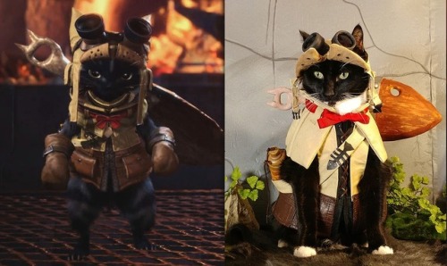 cat-cosplay:The purrfect cosplay dosent exi–