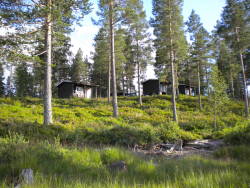 cabinporn:  Cabin compound at Telemark Camping &amp; Inn, Fyresdal, Norway.Contributed by Robin S. Seljevold.