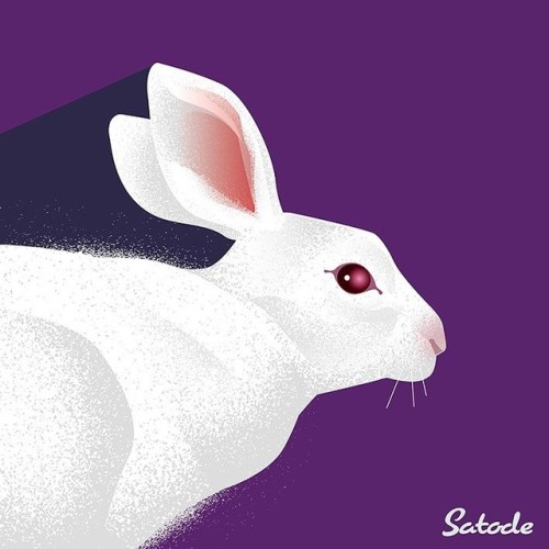 動物シリーズ No.4 Rabbit /うさぎ iStock、PXTAにて販売中。 #イラスト#イラスト販売#イラストレーション#絵#illustrator#illustration#イラストレーター