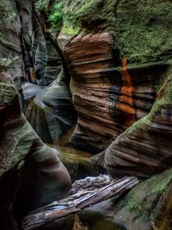 digitalexrth:  The part of Zion National