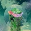 ask-a-creeper