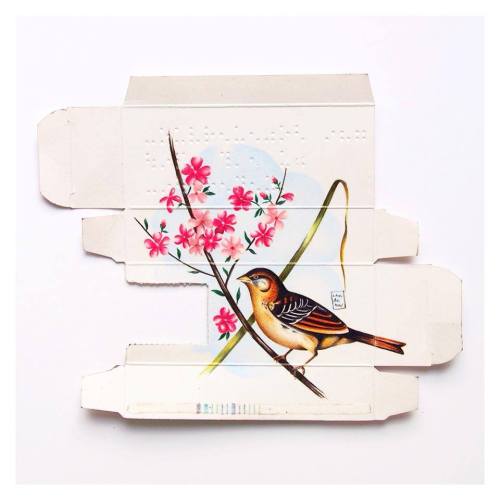itscolossal: New Birds Painted on Pharmaceutical Packaging by Sara Landeta