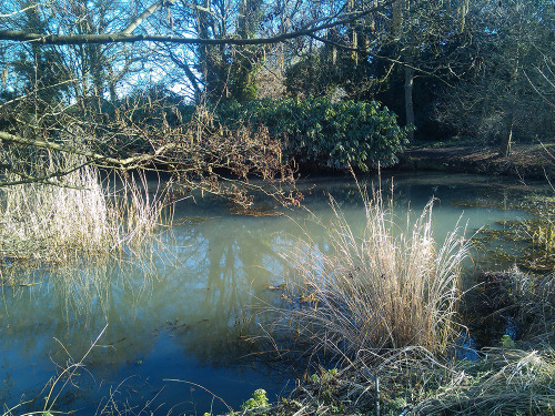 Hadlow College and the Broadview Gardens