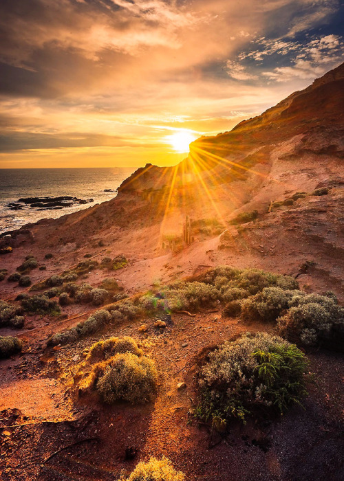 speedynightmarecycle: coiour-my-world: Cape Schanck - Melbourne | by John Yang ❤