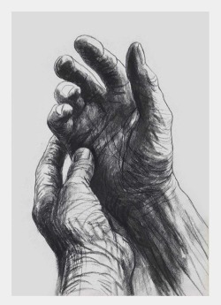 notjustcookies:   'Hands can convey so much. They can beg or refuse, take or give, be open or clenched, show content or anxiety. They can be young or old, beautiful or deformed&rsquo; - Henry Moore  The artist’s hands by British artist Henry Moore