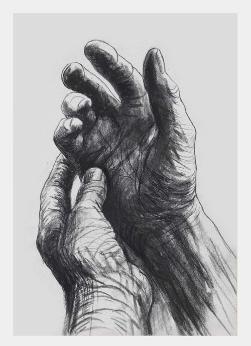 notjustcookies:   'Hands can convey so much. They can beg or refuse, take or give, be open or clenched, show content or anxiety. They can be young or old, beautiful or deformed’ - Henry Moore  The artist’s hands by British artist Henry Moore