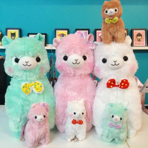 New Mokomoko Ribbon Alpacasso are here at JapanLA!!! These cute Alpaca are all wearing special ribbo
