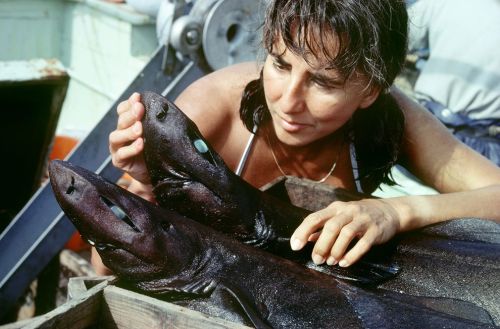 chasinglinnaeus:&lsquo;Shark Lady&rsquo; Eugenie Clark, Famed Marine Biologist, Has DiedA pi