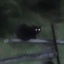 forestcreatureofthenightehe
