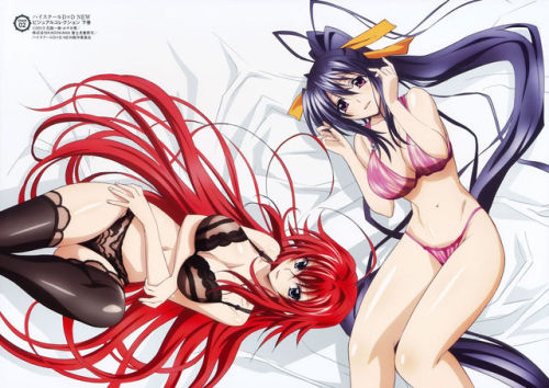 High School DxD New Visual Collection Vol.2