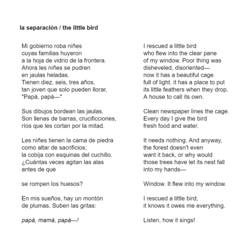 ecc-poetry: la separación / the little birdelisa chavezMi gobierno roba niñescuyas familias huyerona