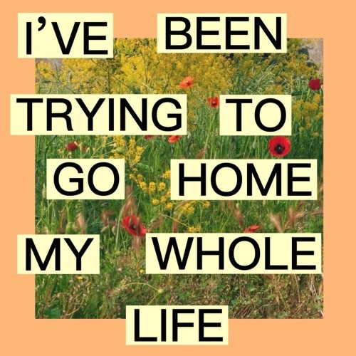 Home Is Whenever Im With You / Home, Edward Sharpe & The Magentic Zeros / I Know The End, Phoebe Bridgers