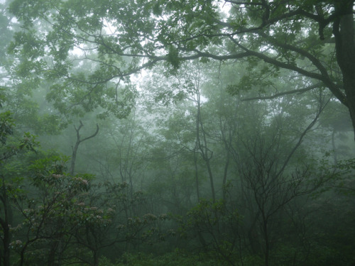 Sam’s Point Preserve by WhatsAllThisThen