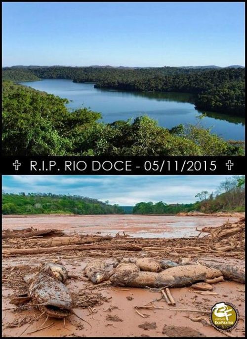 music-thestrongestformofmagic: Brazilian river Rio Doce, most important river in the state of Minas 