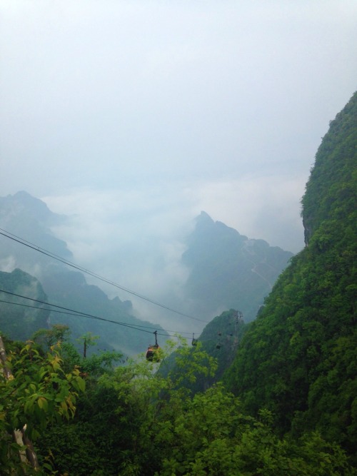 asheathes:Misty Mountains, Zhangjiajie 14/05/15