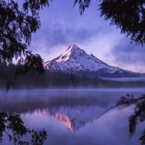 fifineller: Sunrise on Mount Hood, Oregon by Andrew Studer